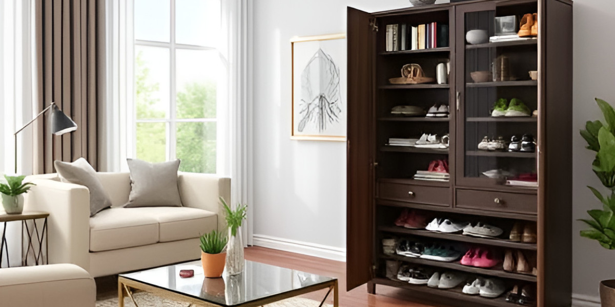 Best Shoe Cabinets for Contemporary Living Room Decor