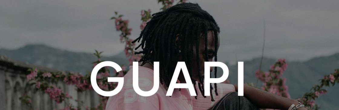 guapi clothing Cover Image