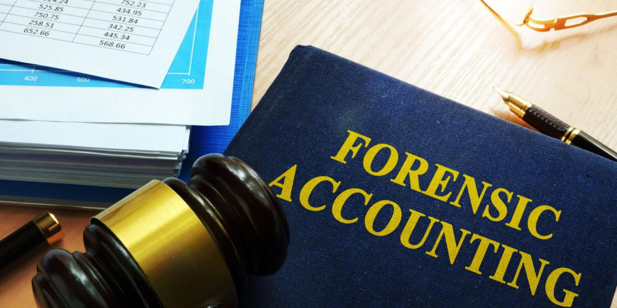 Mastering the Art of Expert Report Writing in Forensic Accounting