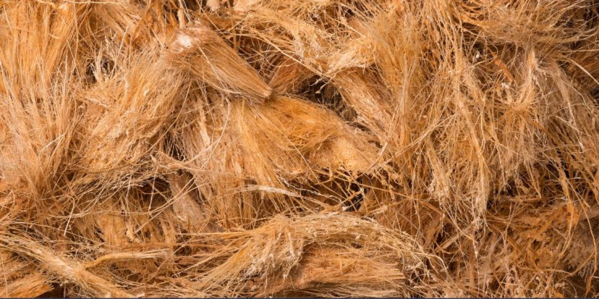 Coco Coir Market Size, Share, Demand and Report | 2034