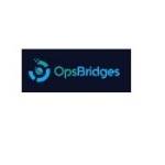 OpsBridges Profile Picture