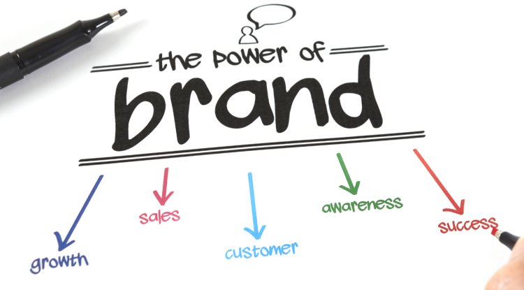 Best Creative Brand Identity Design Services: Web2byte