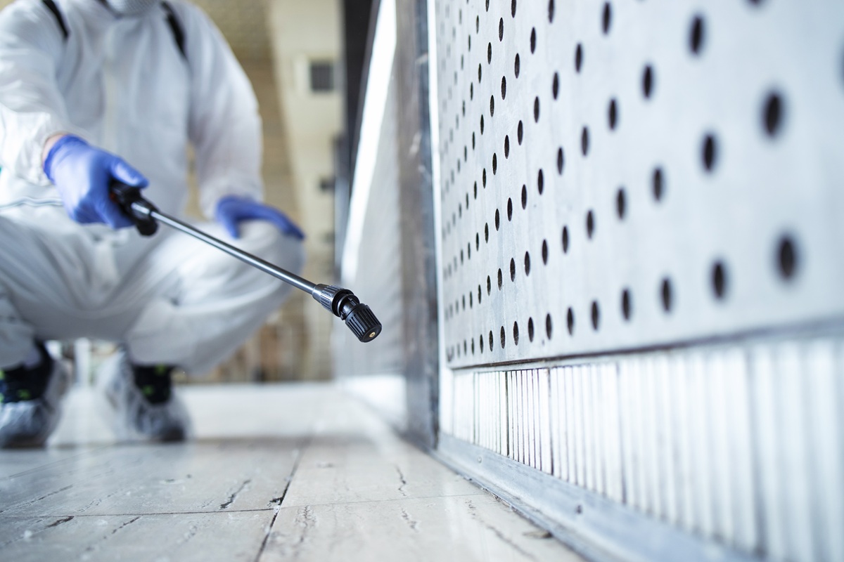 Bedbug Control Manchester | Fast & Effective Bed Bug Treatment