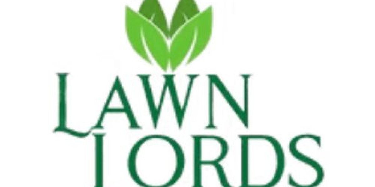 Transforming Outdoor Spaces: The Best in Lawn and Landscape Kansas City Services