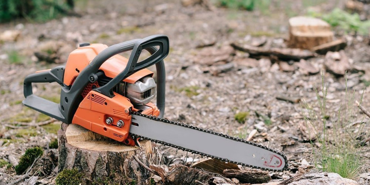 Philadelphia Tree Removal: Expert Tips to Safely Clear Your Property